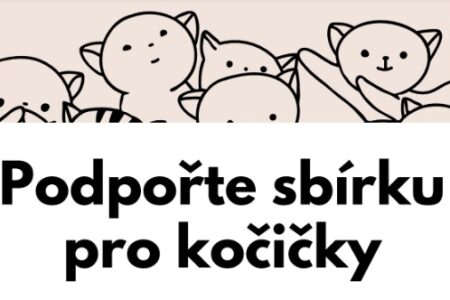 Ilustrační obrázek