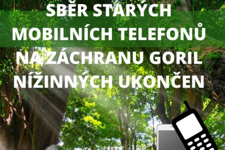 Ilustrační obrázek