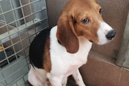 Ilustrační obrázek